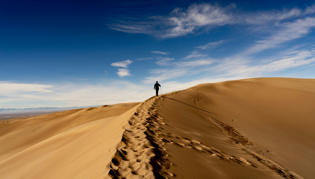 tourism-will-save-us project